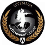FUTSAL UDINESE